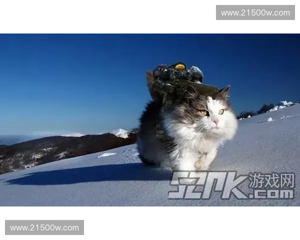 风暴英雄为何值得购买的五大理由及玩家体验分析